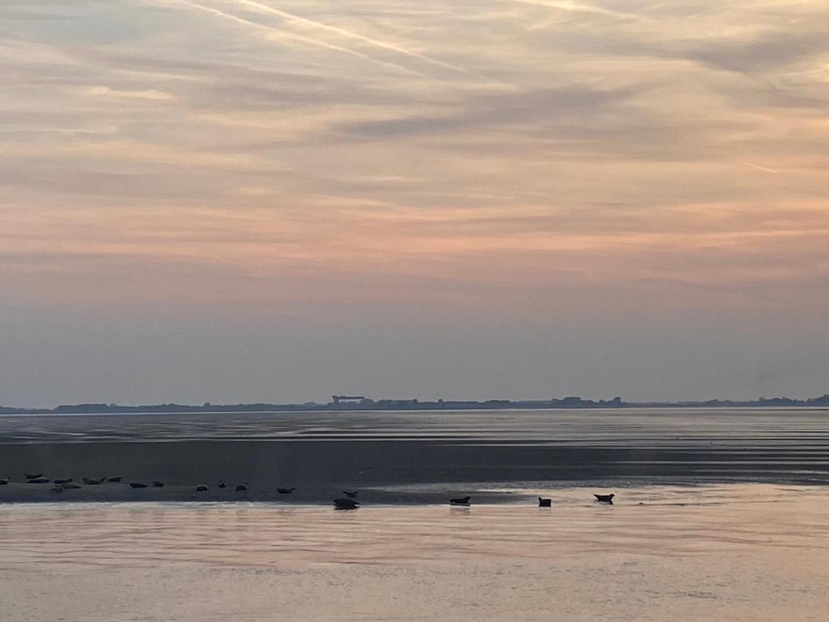Bungalow Scheldezicht In Zeeland Dicht Bij Zee Scherpenisse Экстерьер фото